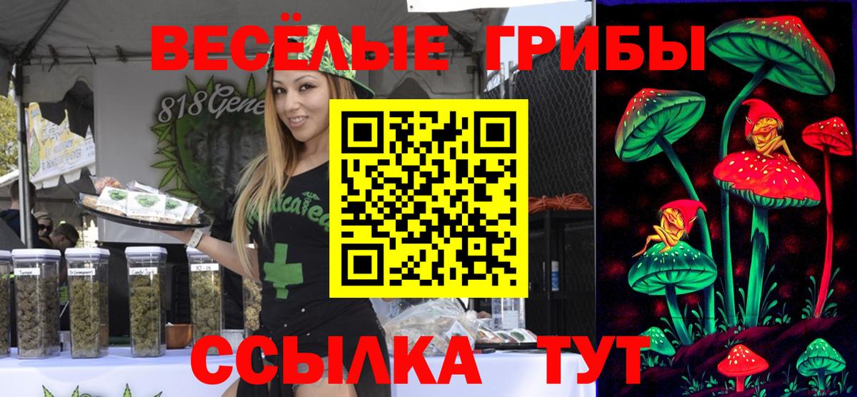 Галлюциногенные грибы Cubensis  Псилоцибиновые грибы Magic Shrooms  Коммунар  Вход с VPN 